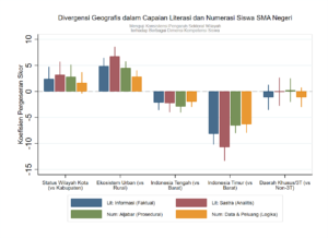 Cognitive Skills, Spatial Inequalities, and the Efficiency of Educational Inputs